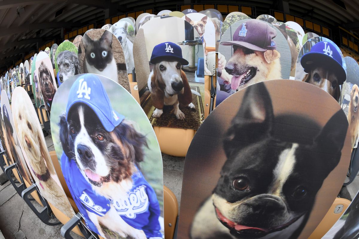 Faces in the crowd as Thousands of Fan cut outs line Dodger Stadium