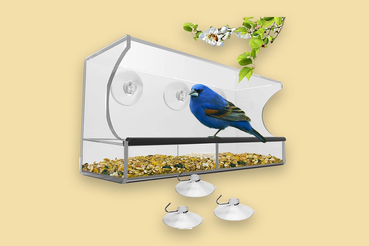 Nature’s Hangout Window Bird Feeder 