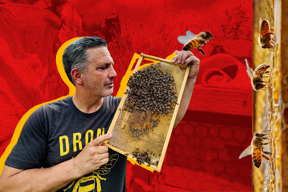 A collage featuring bees and a portrait of Andrew Coté holding a bee-covered frame of honeycomb.