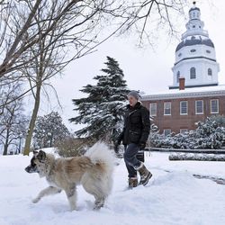 Marc Schwartz and his dog Hiro enjoy the snow as they walk the grounds of the Maryland State House in Annapolis, Md., Tuesday, Feb. 17, 2015. Several inches of snow fell in the region closing the federal government and area schools. 