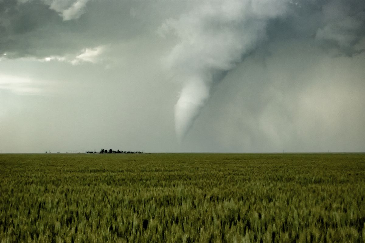 White Tornado On Wheat Field