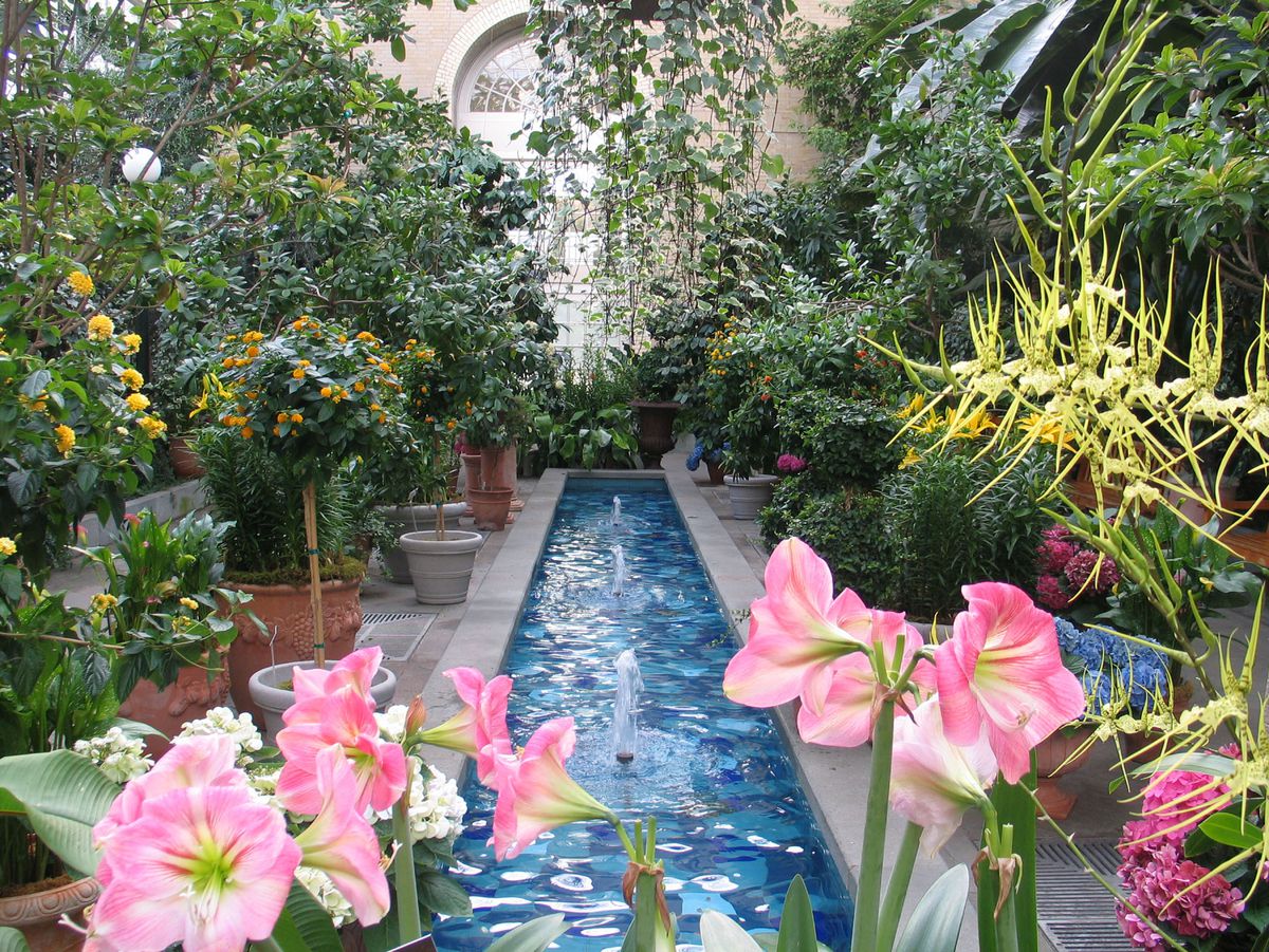 A fountain in the United States Botanic Garden. In the foreground are pink flowers. There is a pool with fountains in the center surrounded by assorted plants, flowers, and shrubs.