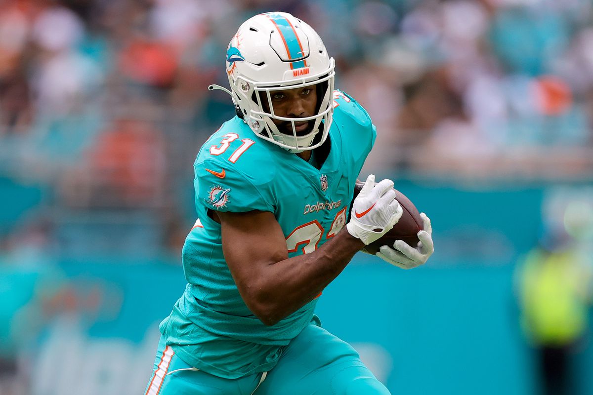rb miami dolphins