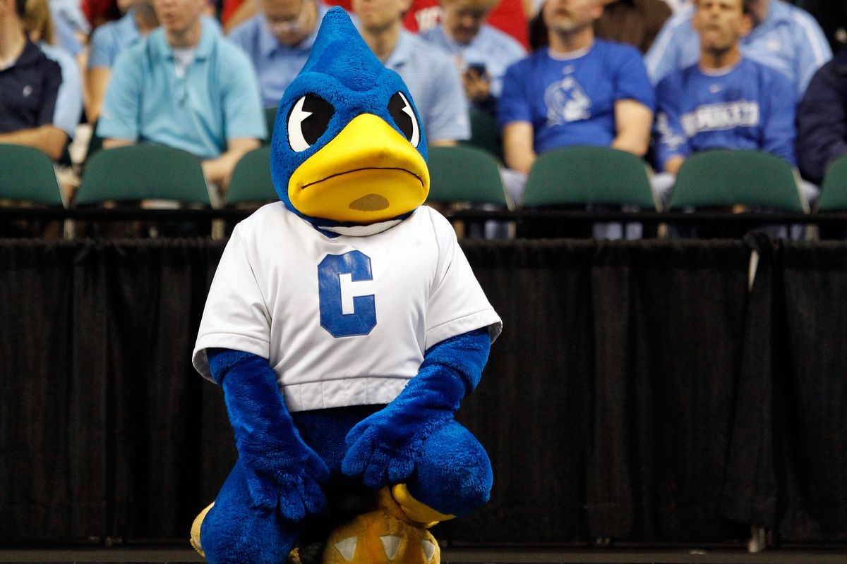 I miss you, old Billy Bluejay. 