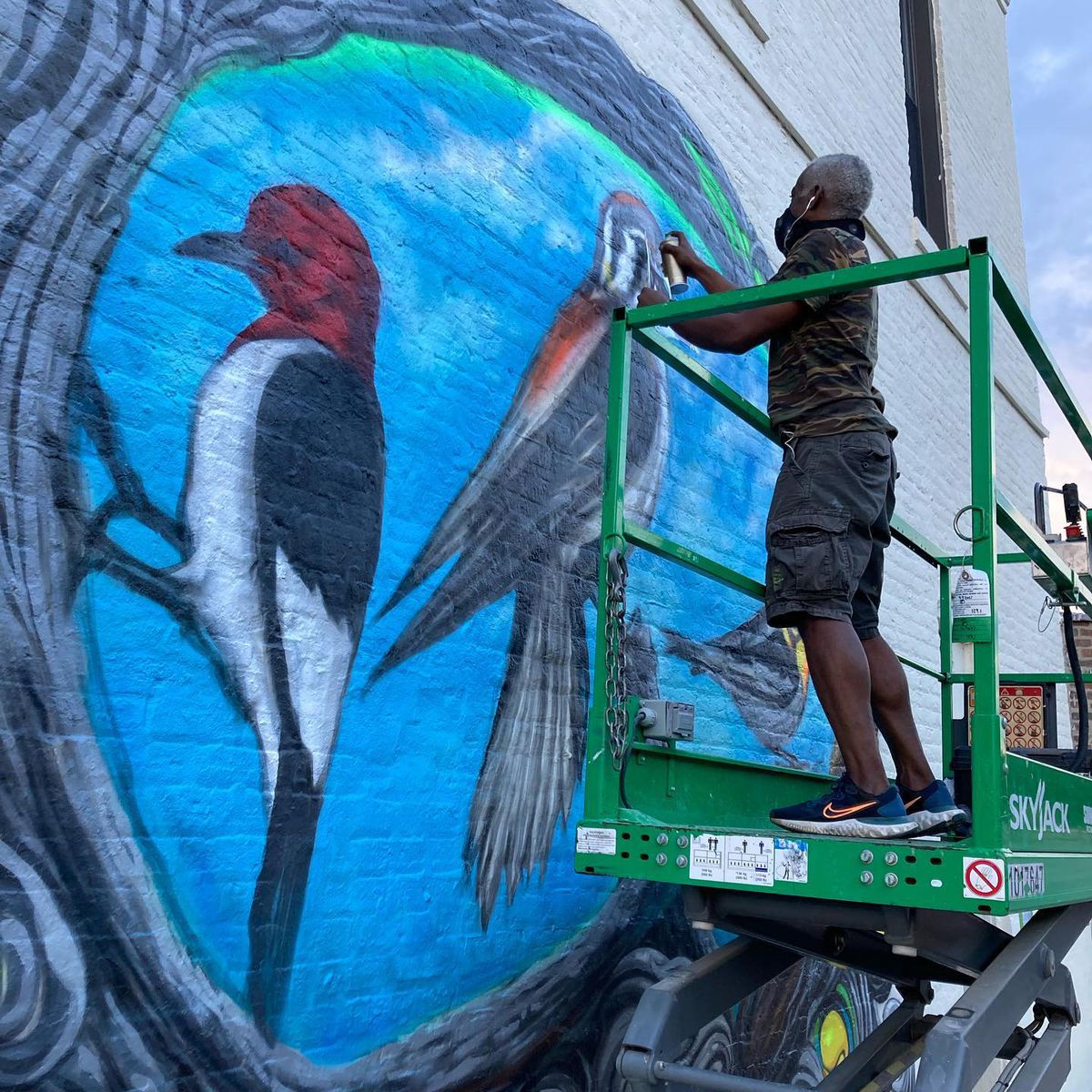 Tyrue “Slang” Jones, working from a scissor lift, painting the mural “Birds of Concern” at 1901 Central St. in Evanston. He finished the mural Sept. 26.