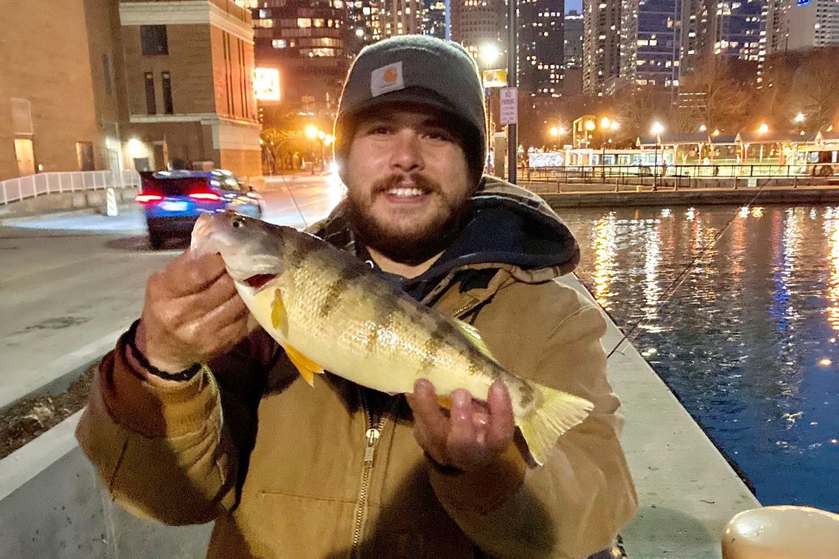 Quinn Wunar with his really big perch, caught on the Chicago lakefront. Provided photo