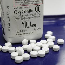 In this Feb. 19, 2013, file photo, OxyContin pills are arranged for a photo at a pharmacy in Montpelier, Vt.