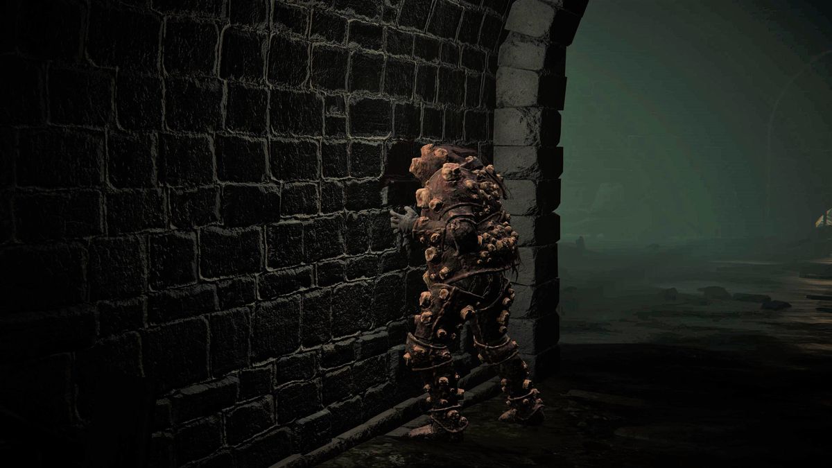 A screenshot of Dung Eater in the Sewer Prison in the Elden Ring.