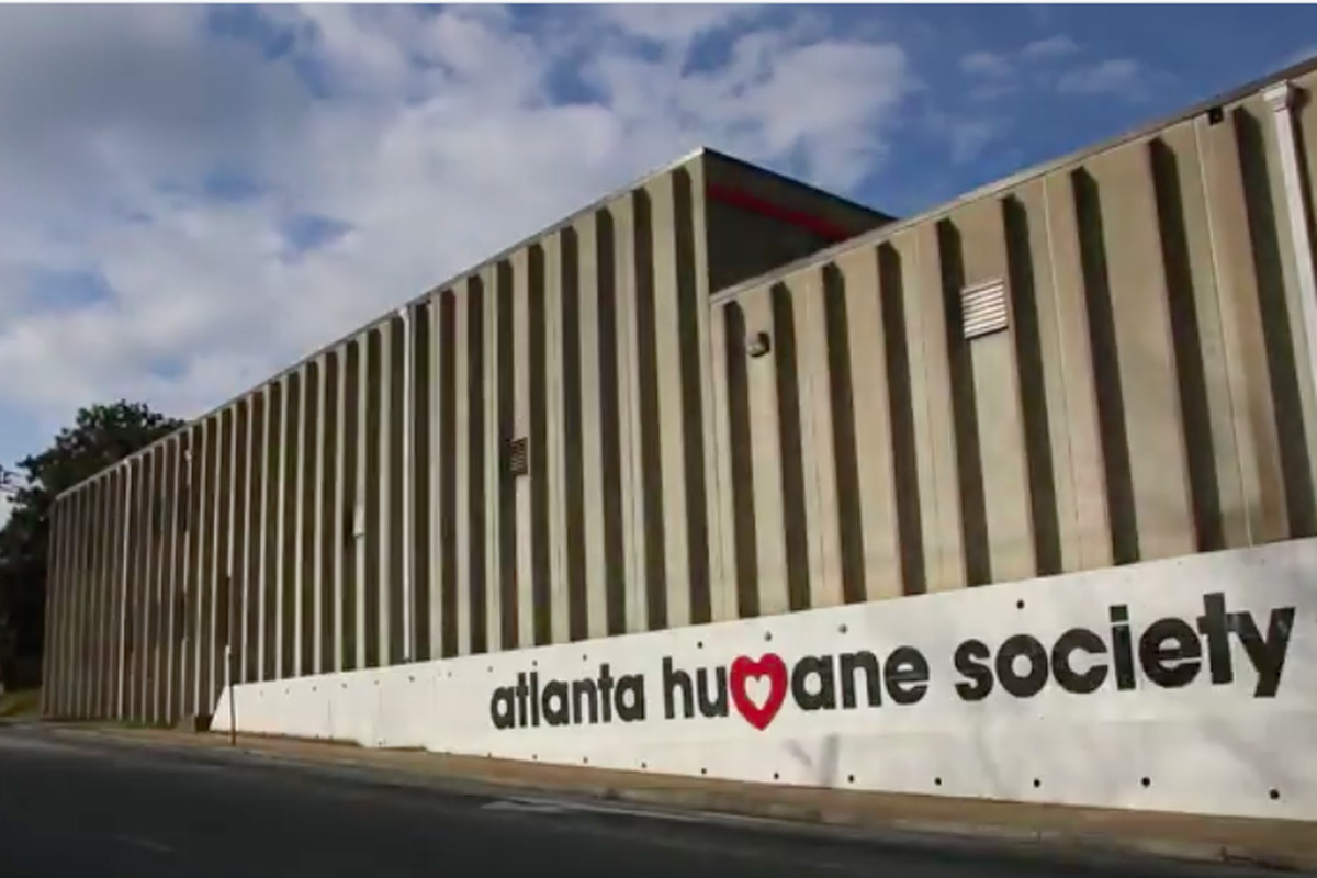 The Atlanta Humane Society campus in West Midtown, from 10th Street. 