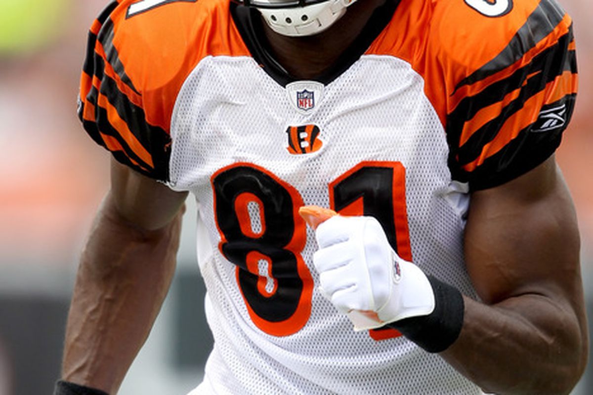 CINCINNATI - SEPTEMBER 19:  Terrell Owens #81 of the Cincinatti Bengals in action against the Baltimore Ravens at Paul Brown Stadium on September 19 2010 in Cincinnati Ohio.  (Photo by Matthew Stockman/Getty Images)