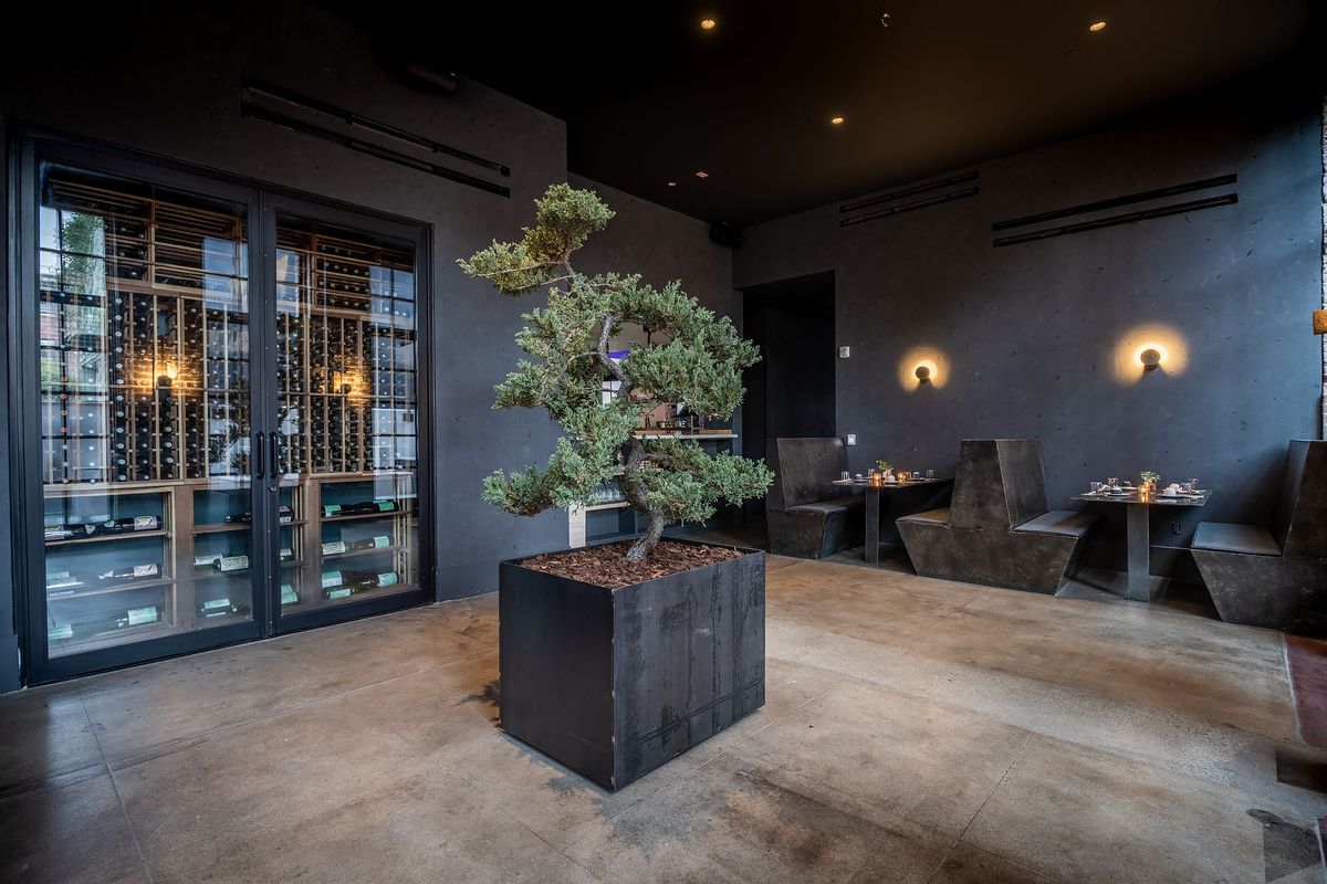 A tree grows inside of a tall metal square in a new restaurant dining room, painted black.