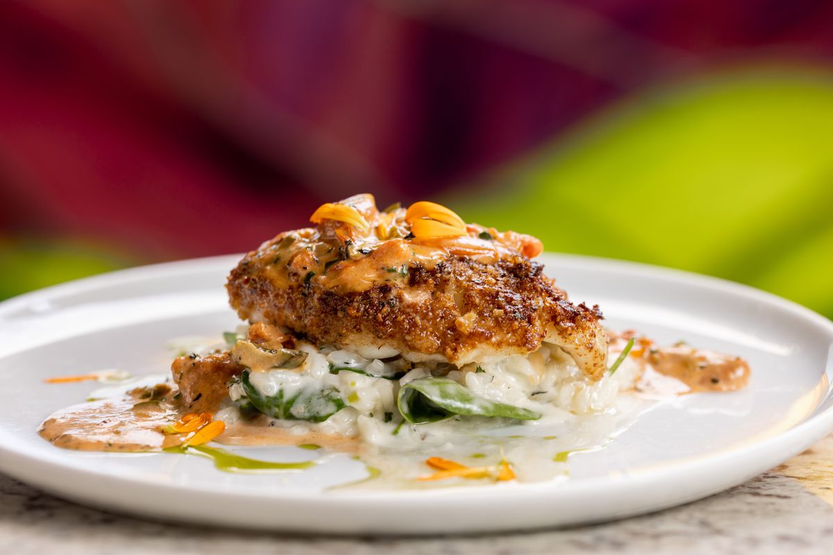 A white plate holds a dish of red snapper in cream sauce that’s covered with roasted pecans and Panko.