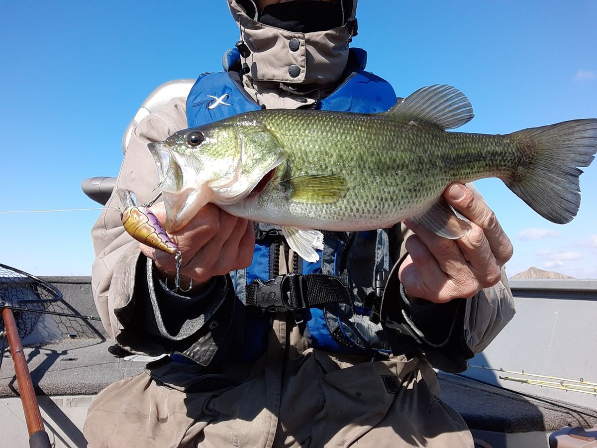 One of the better largemouth from shore on opening day at Braidwood. Provided by Rob Abouchar