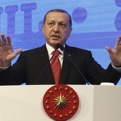 Turkey's President Recep Tayyip Erdogan addresses a NATO parliamentary assembly meeting in Istanbul, Monday, Nov. 21, 2016. Erdogan has called on the United States and other nations to re-assess his country's proposal for the creation of a no-fly zone in northern Syria. Addressing the NATO meeting, Erdogan again criticized allies' reliance on Syrian Kurdish fighters to battle the Islamic State group.(Kayhan Ozer, Presidential Press Service, Pool photo via AP)
