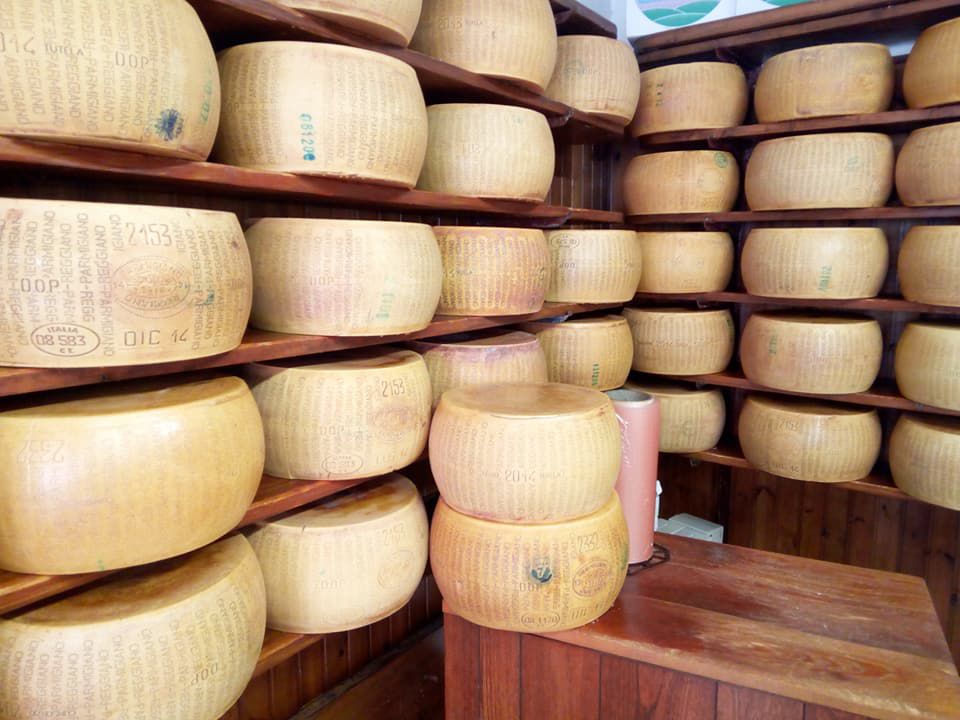 Wheels of cheese arranged on wooden shelves
