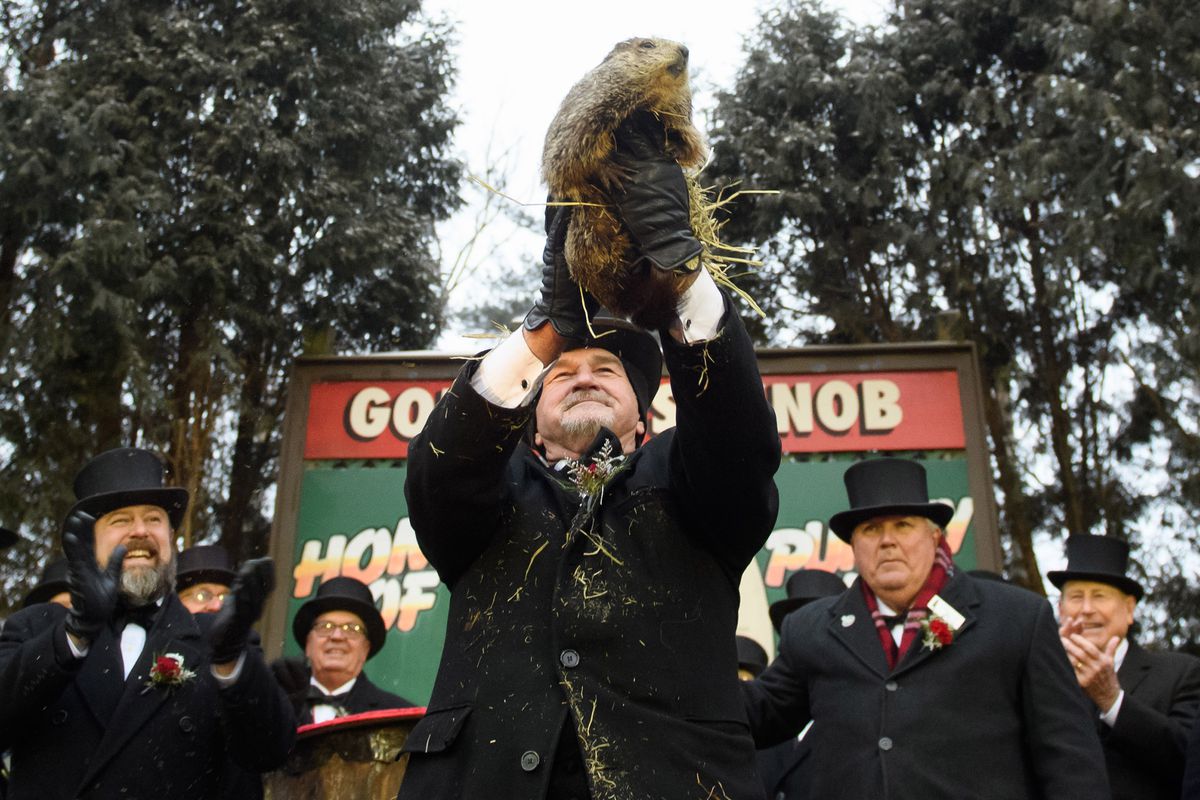 “Punxsutawney Phil” Looks For His Shadow At Annual Groundhog Day Ritual In PA