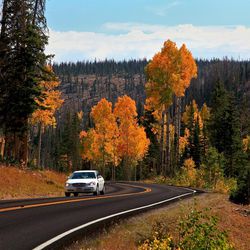A car travels through the fall colors along the Cedar Breaks Scenic Byway on the way to Cedar Breaks National Monument, Utah.