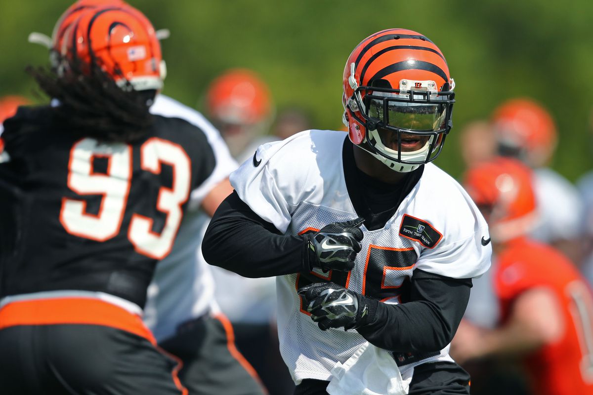 Bengals' youth movement points to plan for success - Cincy Jungle