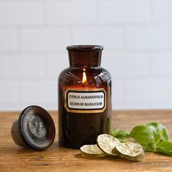 With a lime and basil fragrance that won't incite a sneezing fit, the <a href="http://www.shopterrain.com/sale-home/apothecary-candle-lime-basil/productOptionIDs/bd0459cc-8958-45c4-b120-330bd8a8856a">Apothecary Candle</a> (17.97) adds a warm glow to kitch