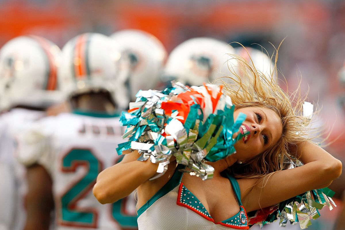 MIAMI GARDENS, FL - NOVEMBER 20:  A Miami Dolphins cheerleader dances during a game against the Buffalo Bills at Sun Life Stadium on November 20, 2011 in Miami Gardens, Florida.  (Photo by Mike Ehrmann/Getty Images)