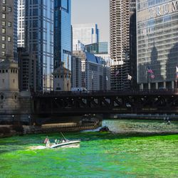 The Chicago river is dyed green to celebrate St. Patrick’s day. | James Foster/For the Sun-Times