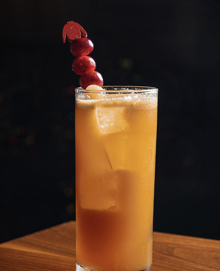 An orange cocktail in a highball glass. 