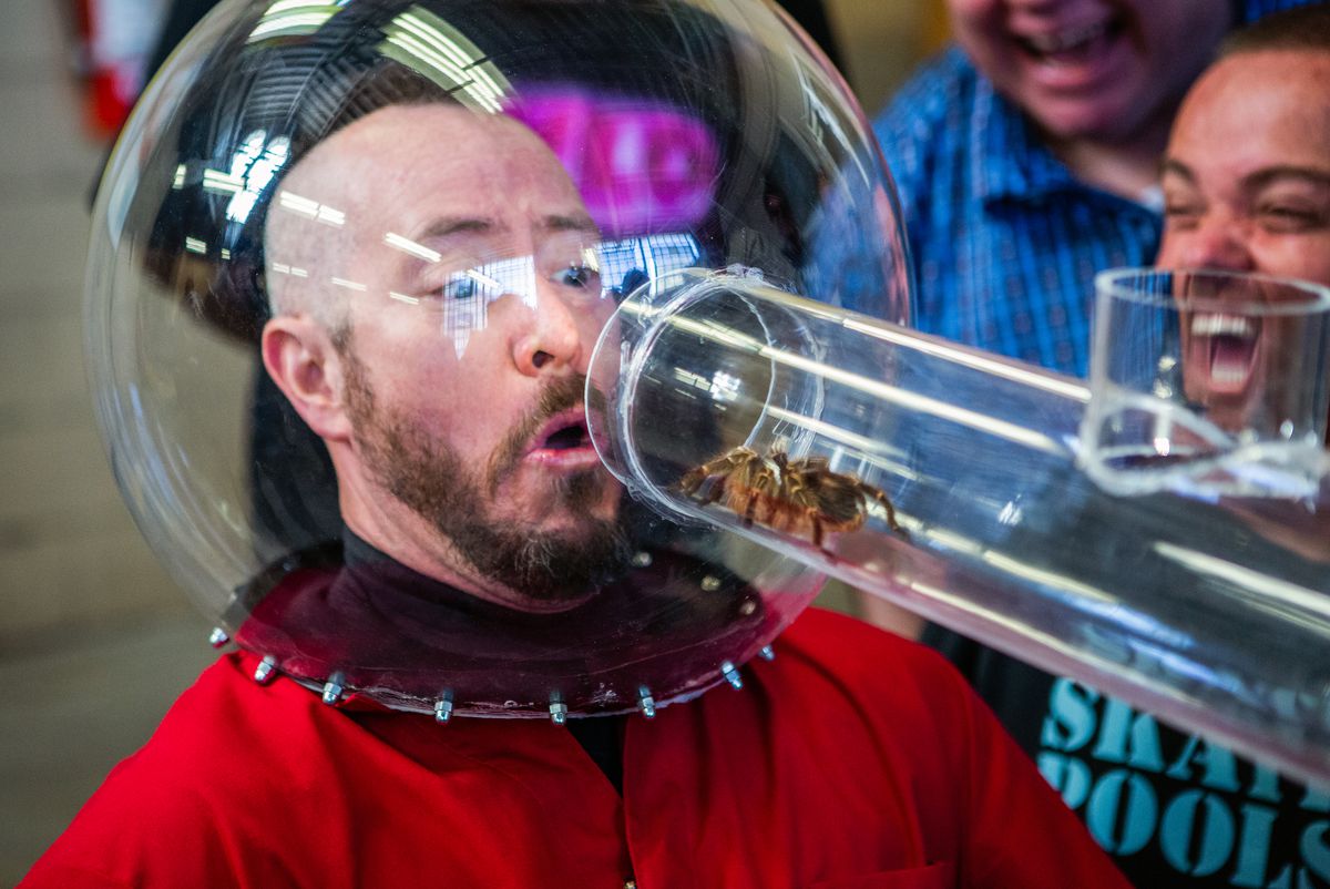 Jackass crew member Ehren McGhehey with a plastic bubble on his head and a tarantula crawling into Jackass Forever