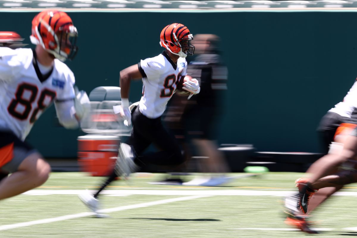 NFL: Cincinnati Bengals-Minicamp