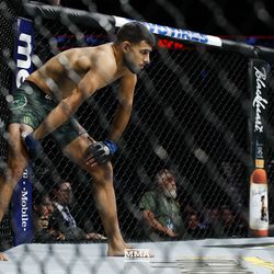 Yair Rodriguez gets ready for main event.