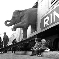 A Ringling Brothers Circus elephant walks out of a train car as young children watch in the Bronx railroad yard in New York City, April 1, 1963. The circus opens in Madison Square Garden April 3 for a 40-day engagement.