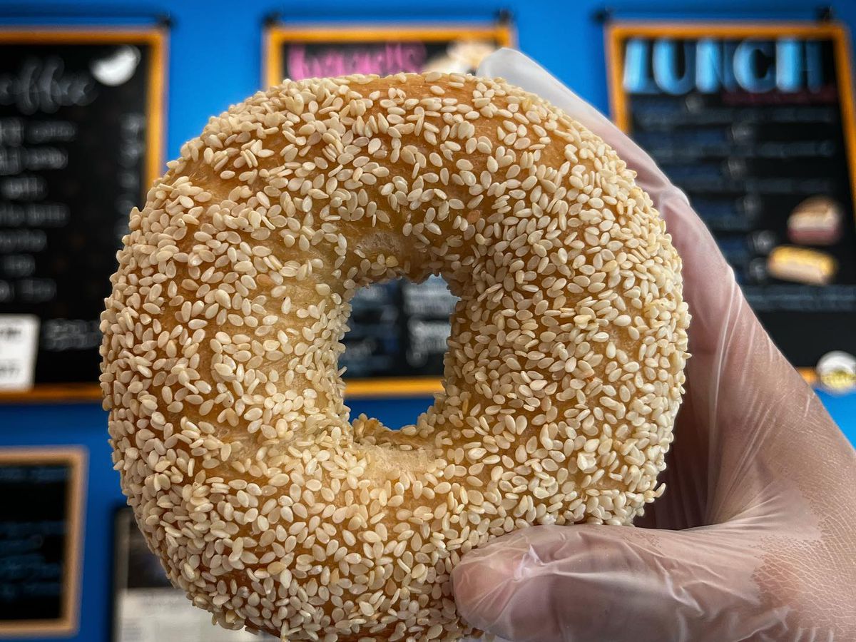 A hand holding up a sesame bagel against a blue wall backdrop.