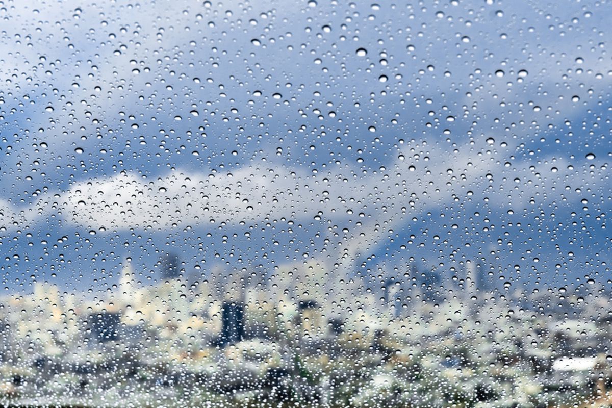 Rain on a windowpane, turning the SF skyline outside into a blurred smear.