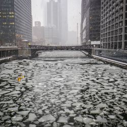 The Chicago River is icing over in a view from Adams St. Rich Hein/Sun-Times
