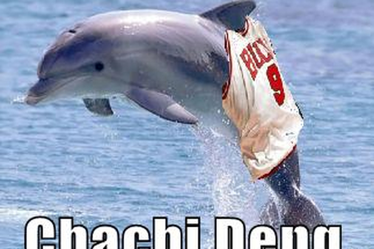dolphindeng
