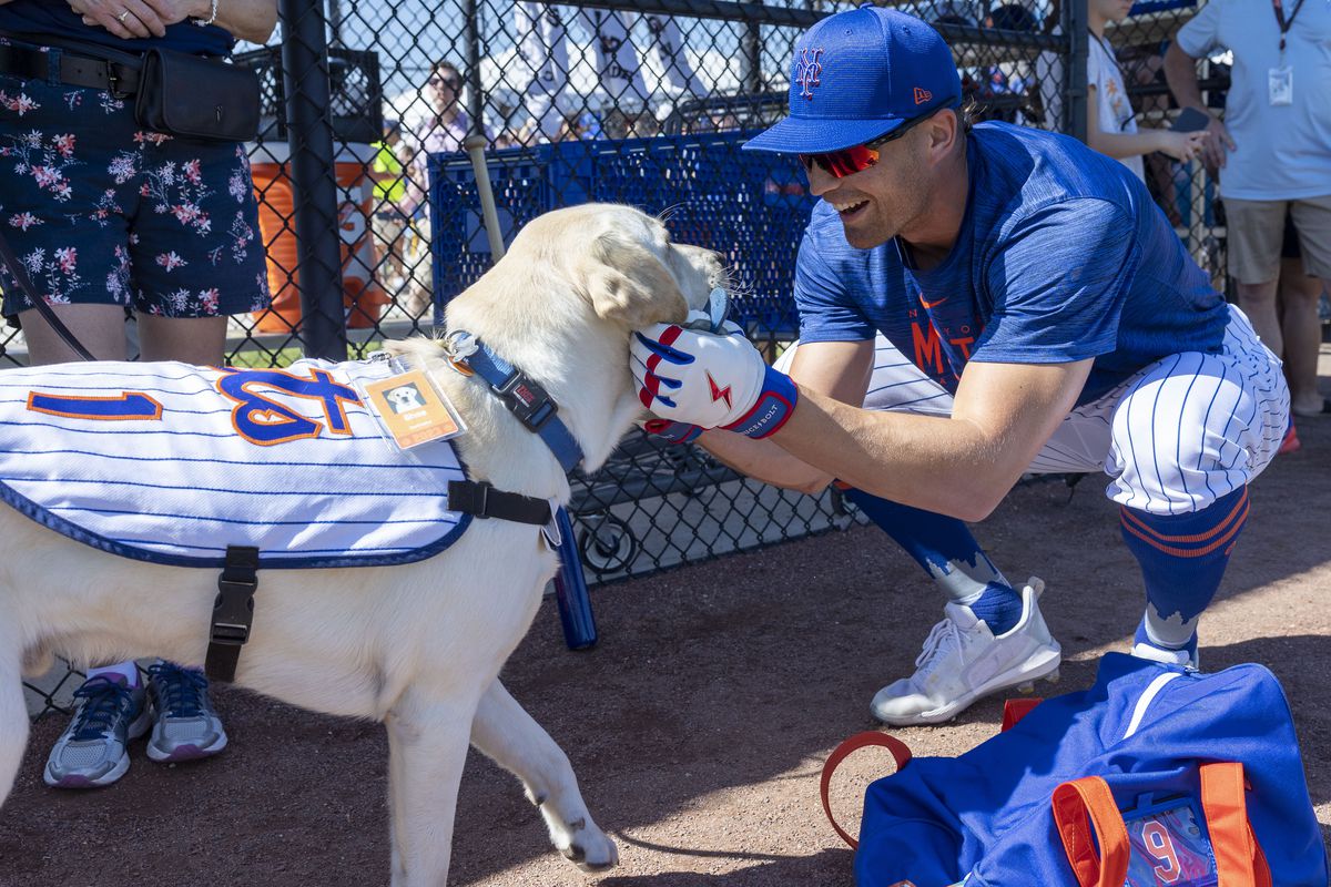 NY Mets Brandon Nimmo pets Mets service dog at spring training