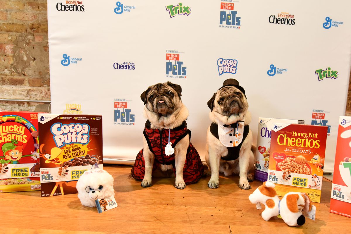 General Mills Cereal Hosts Exclusive Pets-Only Red Carpet Movie Experience for ‘The Secret Life of Pets’