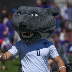 Willie the Wildcat greets fans before the Kansas State Wildcats soccer game against the Oklahoma Sooners on Sunday, Sept. 23, 2018, in Manhattan.