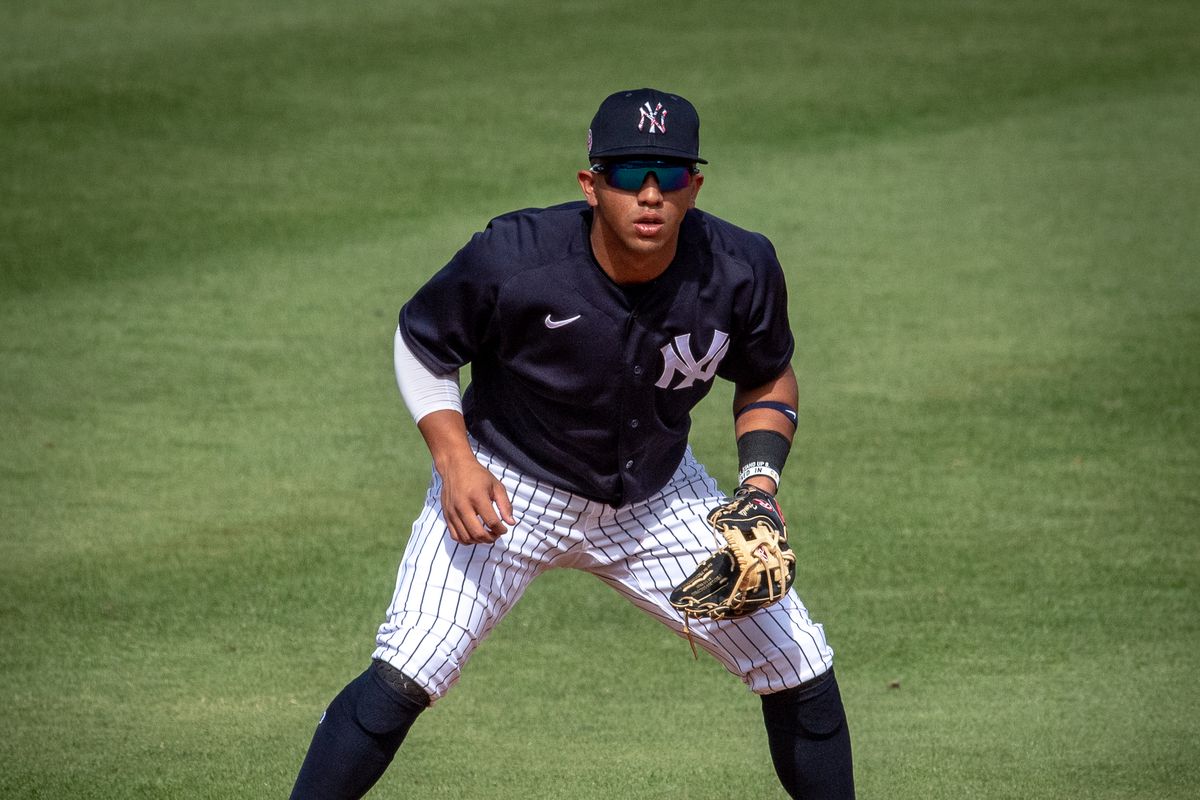New York Yankees’ prospect Oswald Peraza playing shortstop in a spring training game against the Detroit Tigers in the sixth inning at George M. Steinbrenner Field in Tampa, Florida, on March 5, 2021.