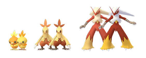 The Shiny forms for Torchic, Blaziken, and Combusken in Pokémon Go