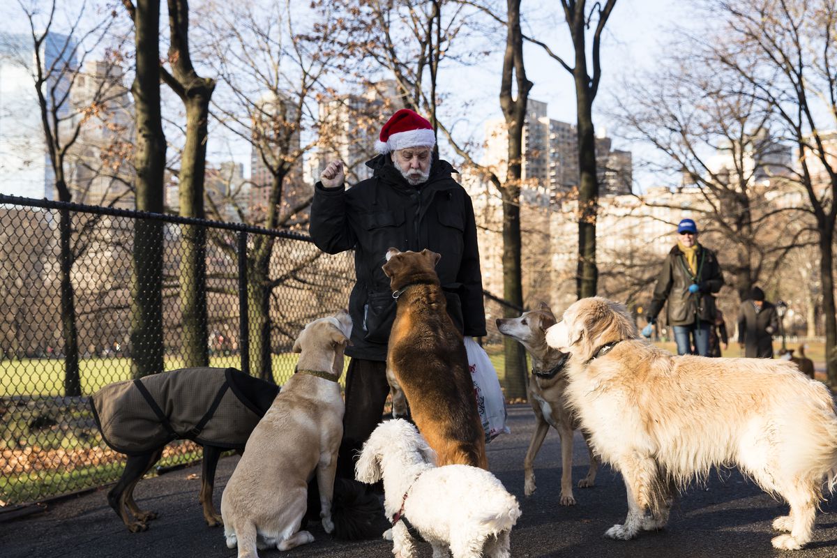 New York City Celebrates Christmas