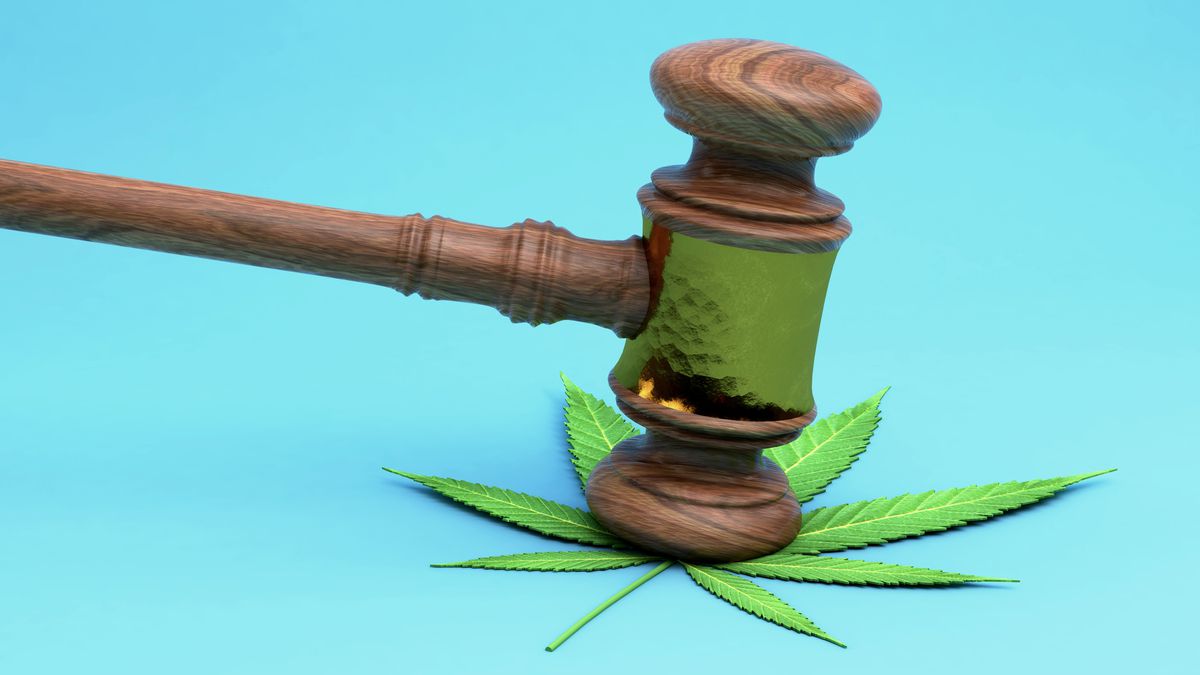 Illustration showing a judge's gavel coming down on a cannabis leaf.