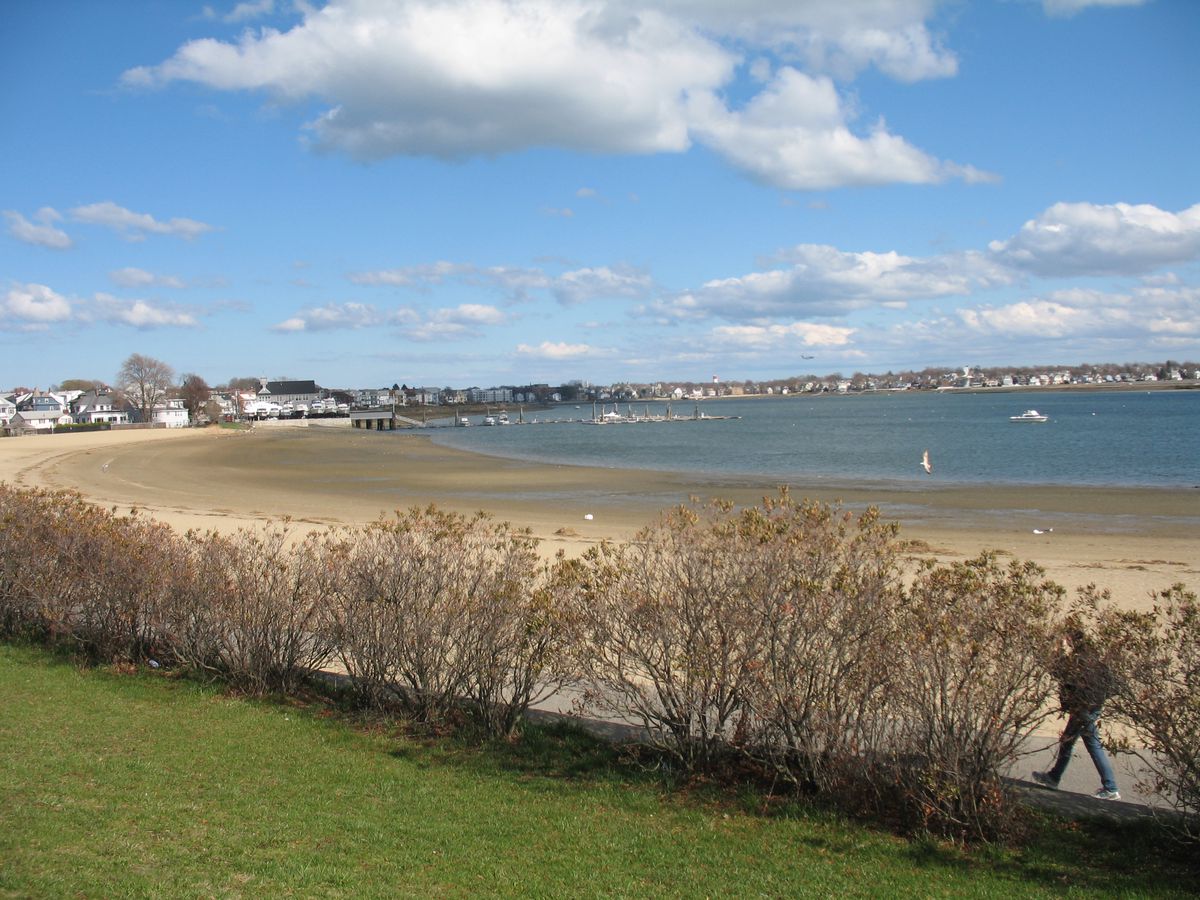 In the foreground is a lawn and trees. In the distance is a sandy beach and a body of water.