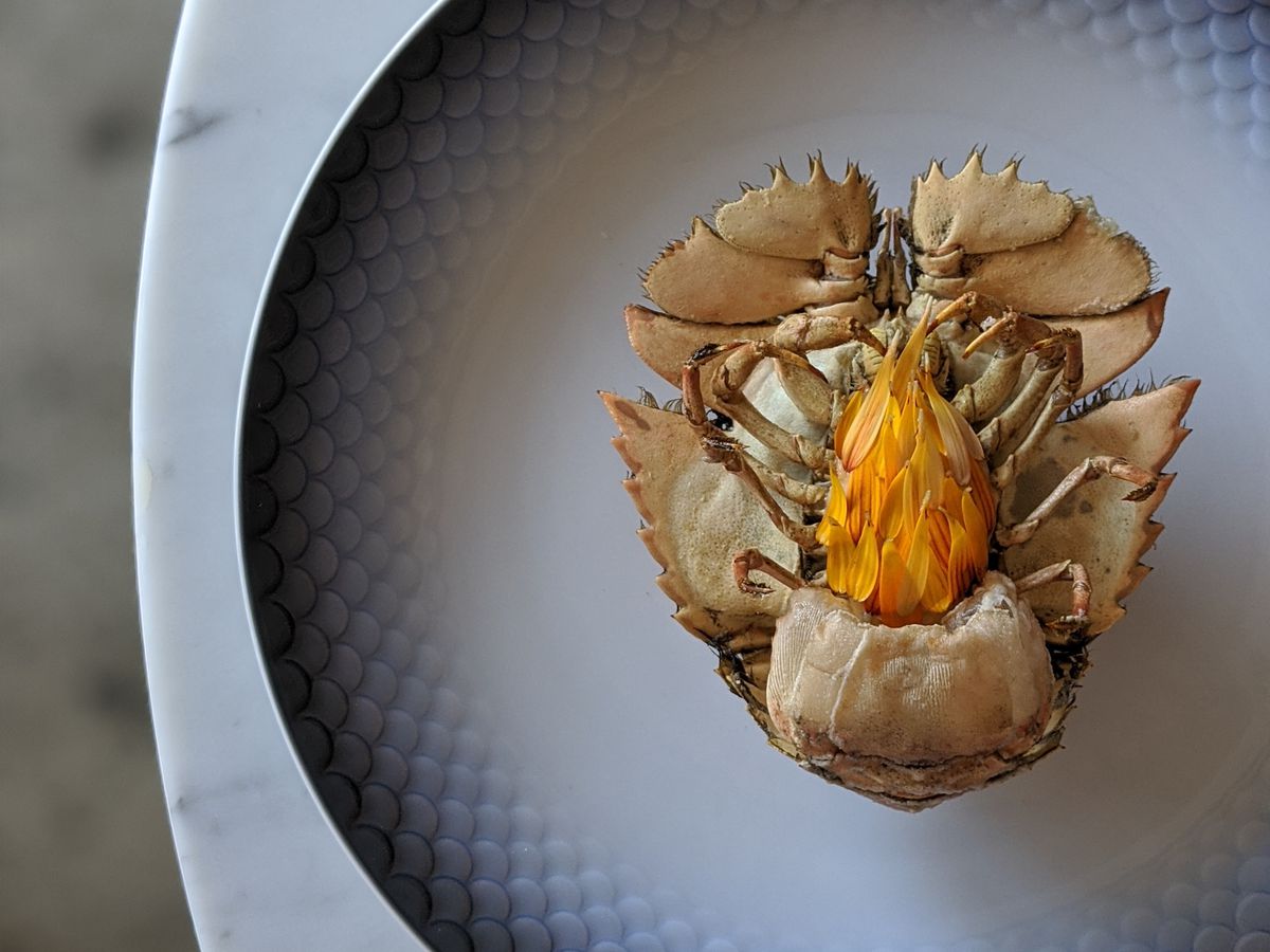 A shellfish, belly up, with yellow thistle-like topping.