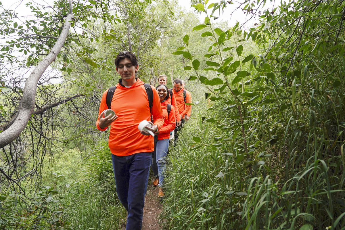 People wearing neon orange hoodies and jeans hike down a green trail.