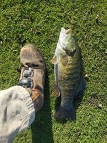 Catching smallmouth bass on the Chicago lakefront and measuring them by the foot. Provided by Ken Maggiore