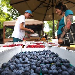 Benson Weeks sells blueberries and raspberries from his booth at the Sugarhouse Farmers Market at Fairmont Park in Salt Lake City on Wednesday, July 11, 2018.