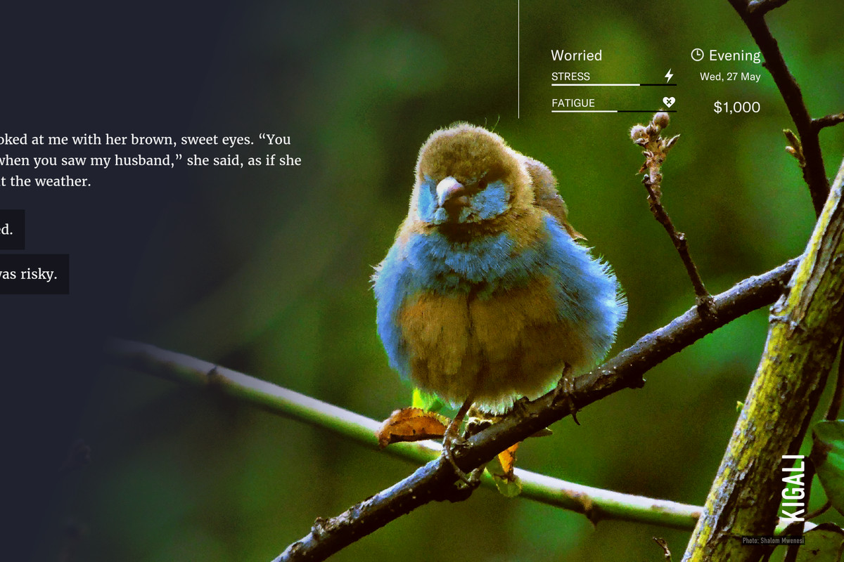 Wanderlust: Travel Stories - a bird perches on a branch