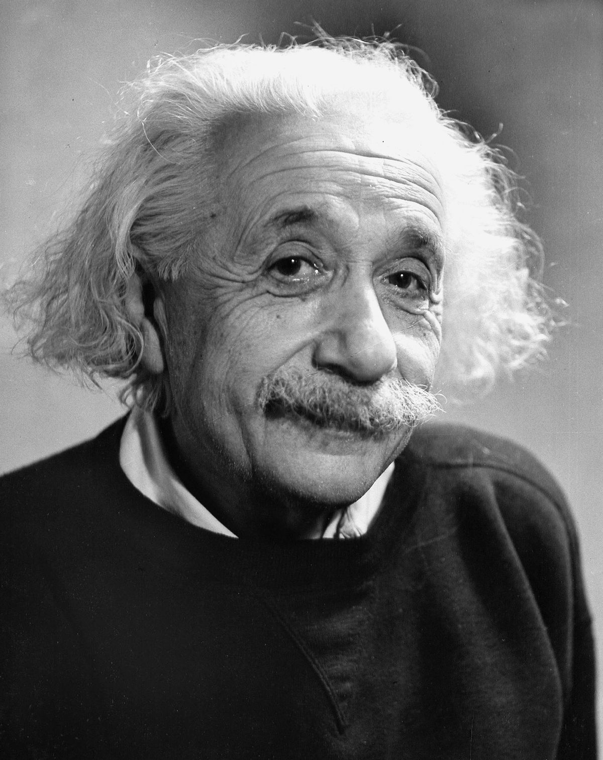 Portrait Of Albert Einstein