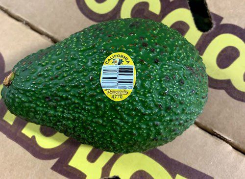 Some avocados from Henry Avocado have been voluntarily recalled. | Food and Drug Administration