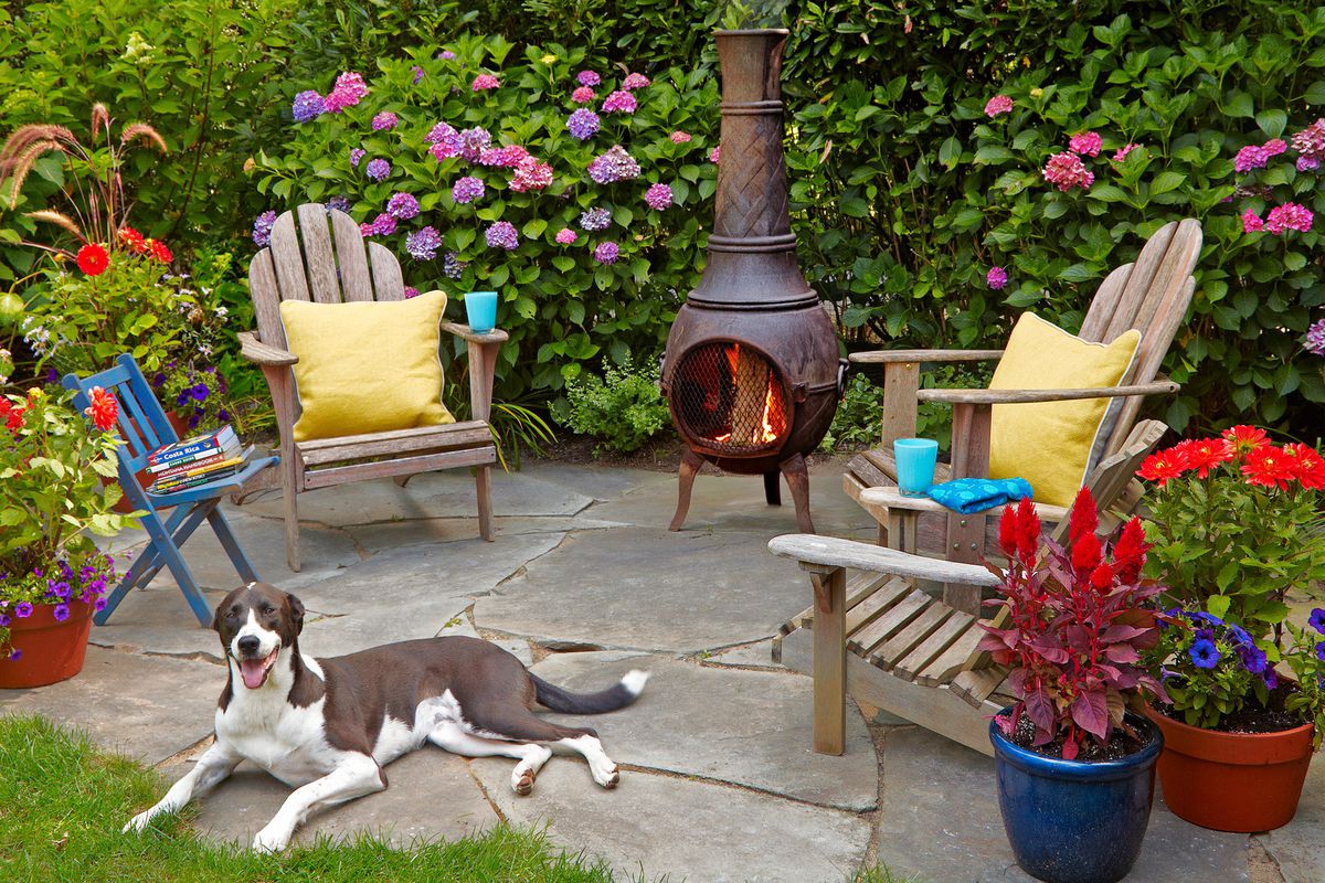 Dog on back patio with fireplace and lounge chairs